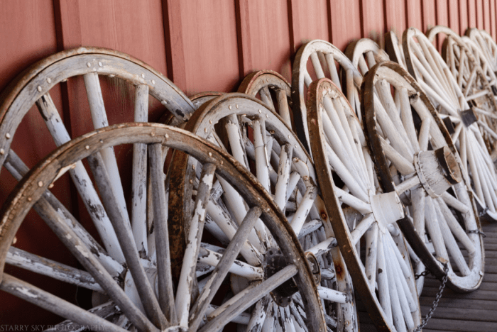 Jun 2016 T frontier village web (23 of 23)