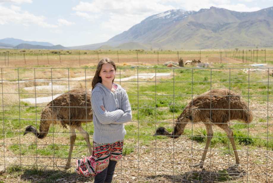 Apr 2017 emus web (5 of 5)