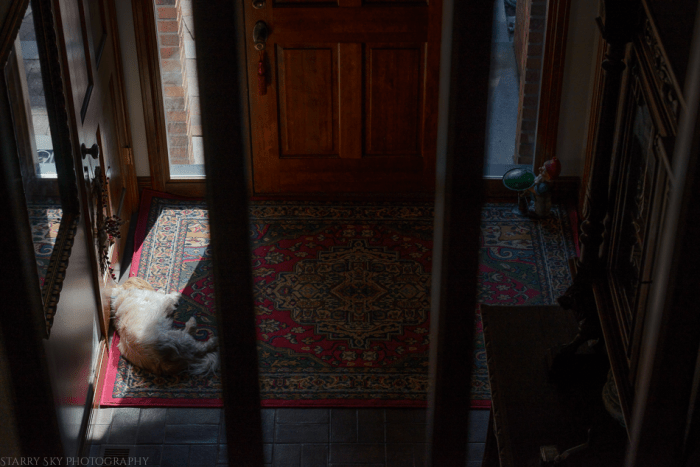 Jun 2015 home web (1 of 12)