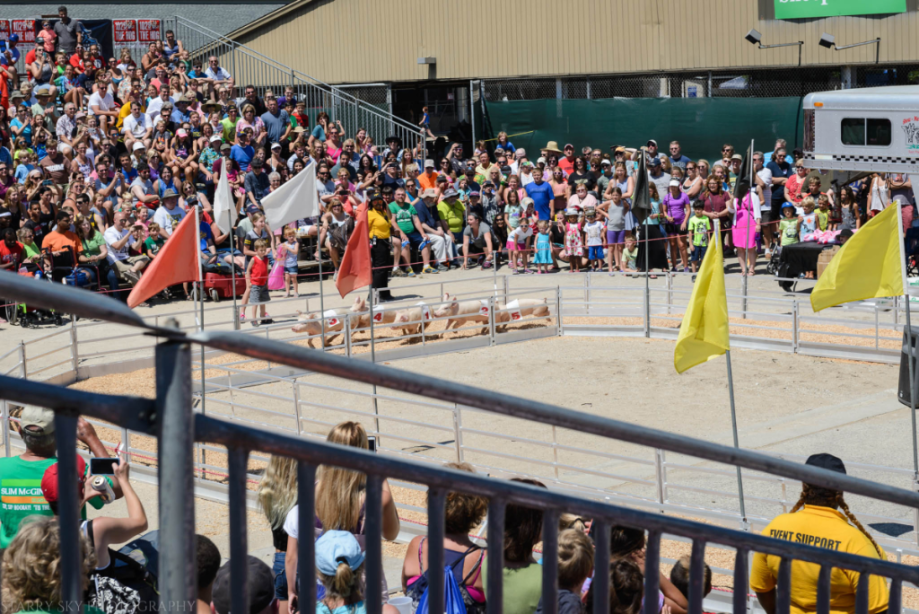 Aug 2016 WI State fair web (15 of 28)
