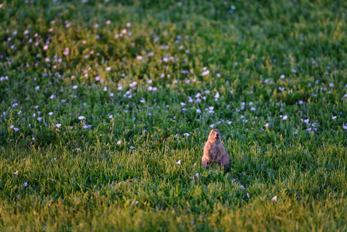 July 2015 badlands  web (13 of 20)