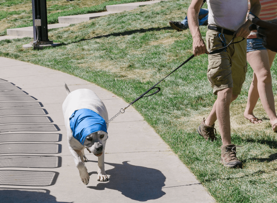 Jun 2015 ogden arts web (15 of 19)