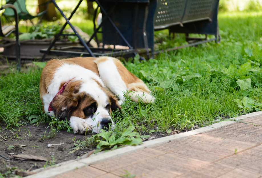 Jun 2015 cabin web (1 of 9)