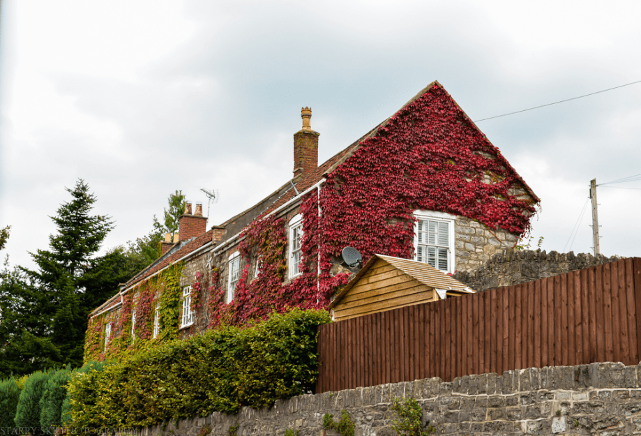 Sept 2014 drive web-3