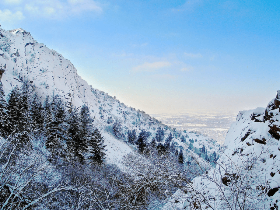 16108066_1472010322811207_1261488303_o