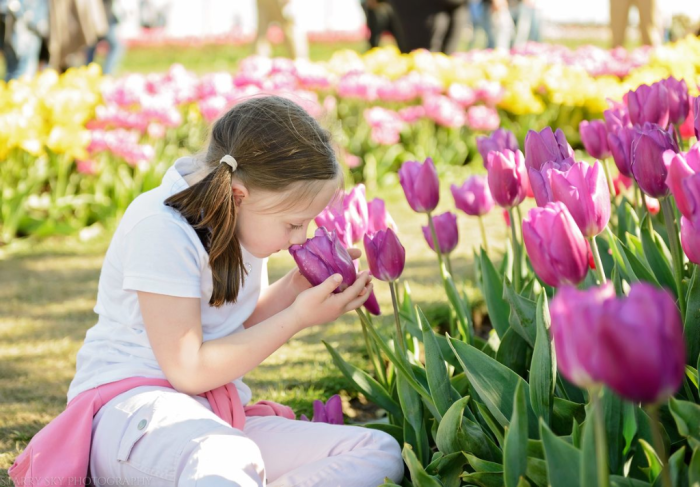 Apr 2016 tulip farm web (5 of 12)