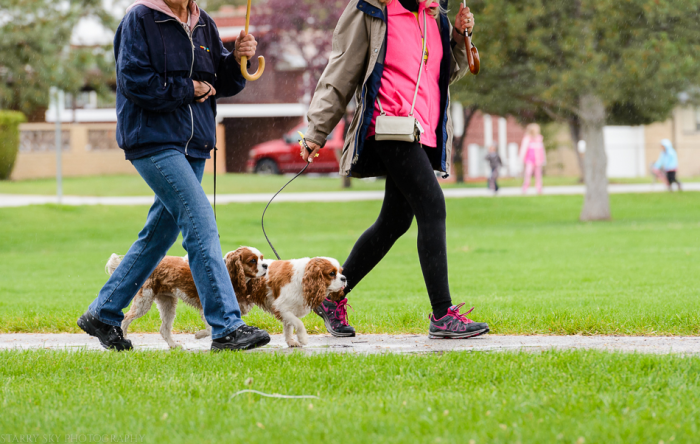 May 2015 walk web (9 of 13)