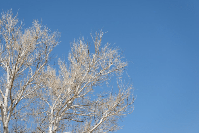 Mar 2016 canyonlands web (5 of 8)