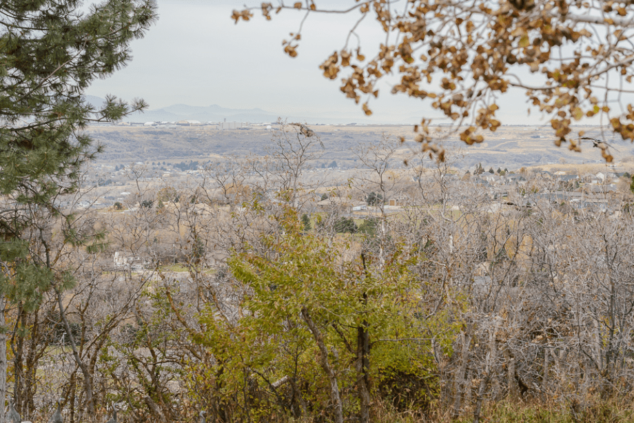 Nov 2015 turkeys web (6 of 6)