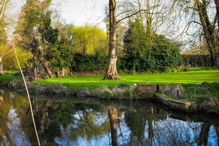 Mar 2014 stream web-3