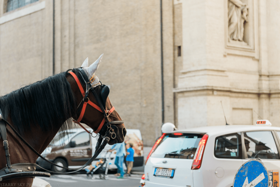 Oct 2014 rome streets web-6