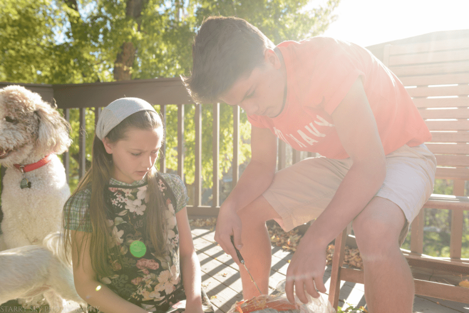 Oct 2016 pumpkins web  (6 of 7)