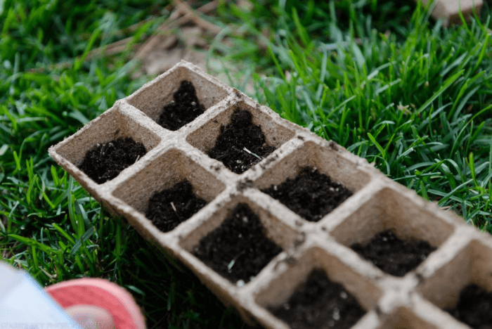 Apr 2016 garden web (3 of 5)-2