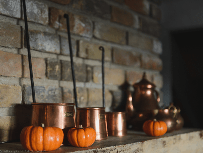 Nov 2015 hearth web (1 of 1)