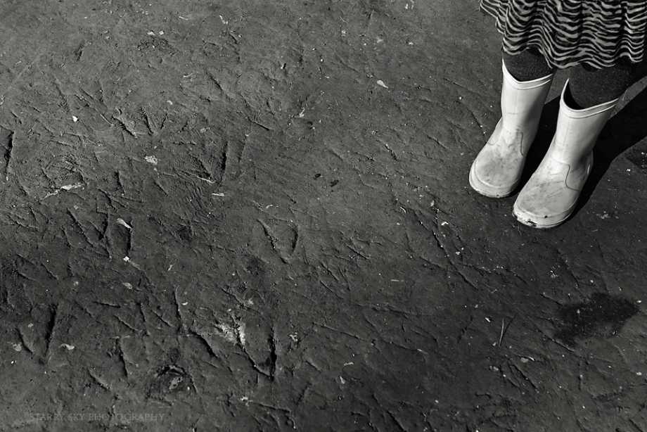 Mar 2015 tracks bw web