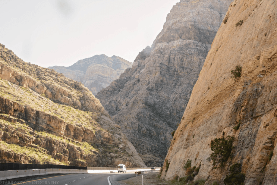 Apr 2017 emus web (5 of 5)