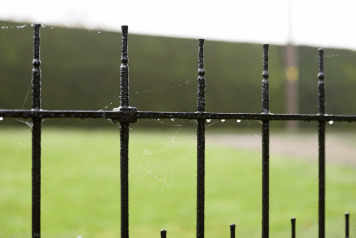 Nov 2014 rain window web (2 of 5)