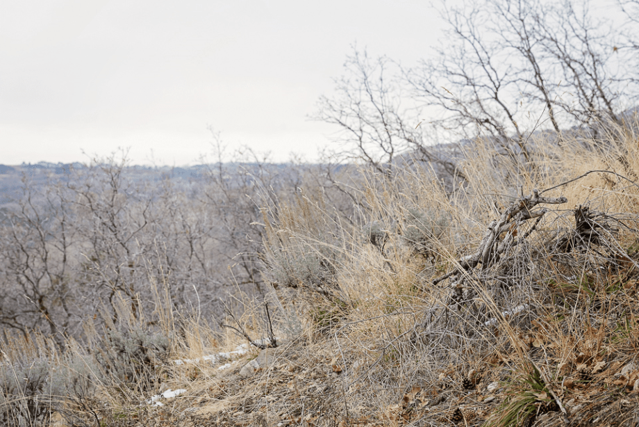 Dec 2015 turkey web (4 of 4)