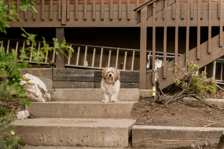 May 2015 yardwork web (8 of 8)