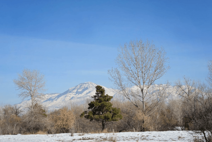 Jan 2016 snowshoe web (5 of 6)