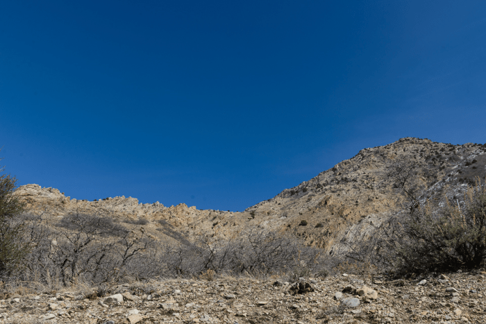 Mar 2015 mt ogden web (2 of 9)