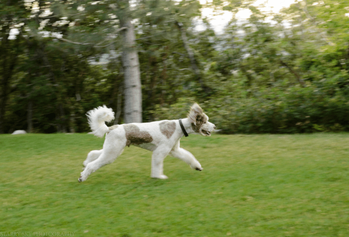 June 2016 fathers day web (1 of 1)