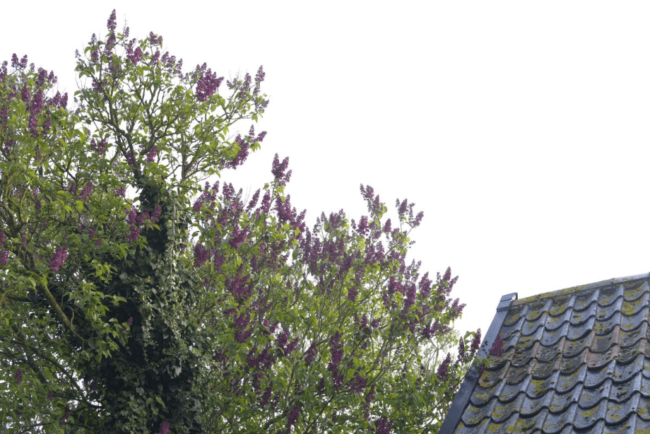 image from http://s3.amazonaws.com/hires.aviary.com/k/mr6i2hifk4wxt1dp/14042913/bd7d0003-b699-4e90-8b18-3ccdab706bc0.png