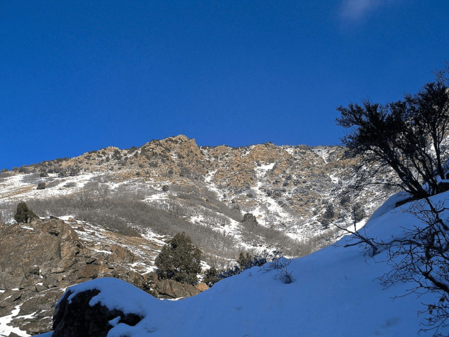 16121512_1472016032810636_260686206_o