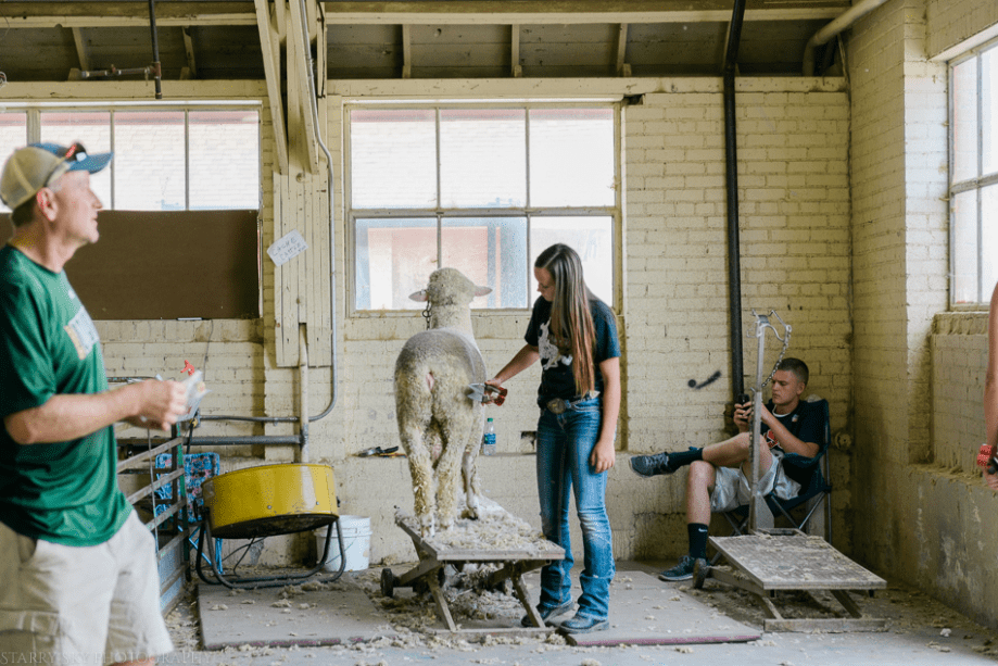 Sept 2015 fair web (15 of 29)