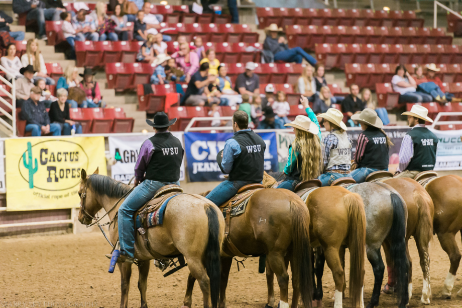 Mar 2015 rodeo web (1 of 18)
