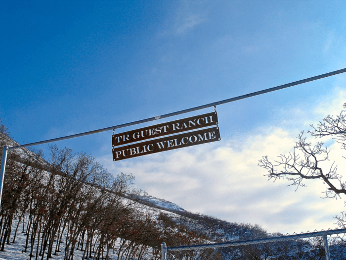 16144977_1472016876143885_219150469_o