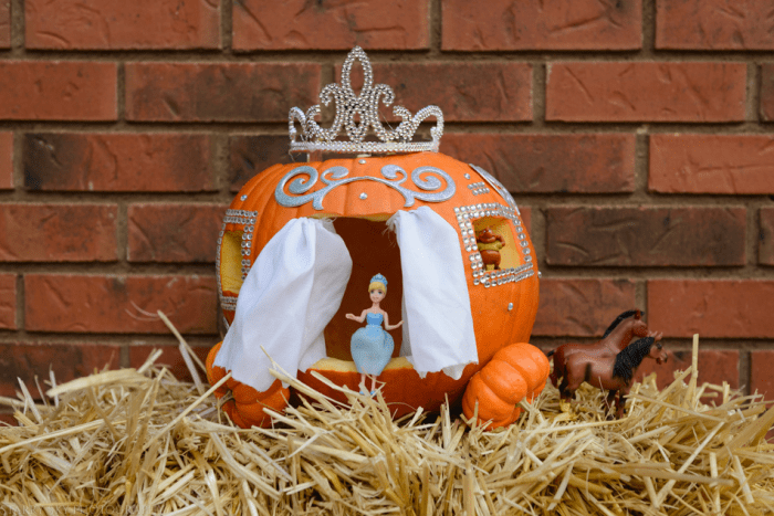 Oct 2015 pumpkins web (5 of 7)