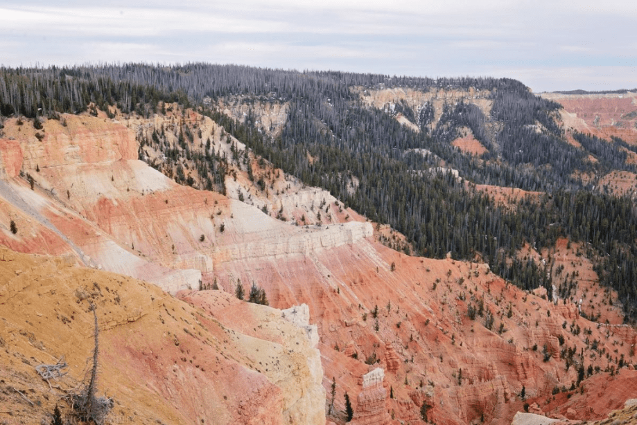 May 2016 Cedar breaks web (7 of 7)