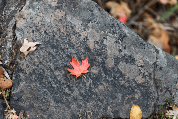 Sept 2017 alpine loop web (4 of 4)