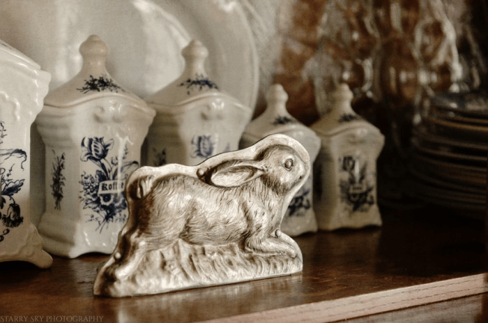 Mar 2016 rabbit web (1 of 1)