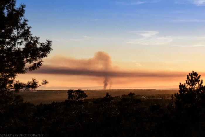 Sept 2015 BTS web (1 of 1)-4