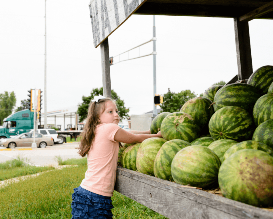 Aug 2016 watermelons wi web (5 of 7)