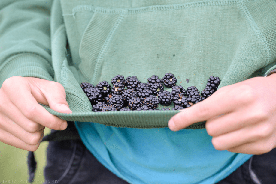 Sept 2014 berries web-9